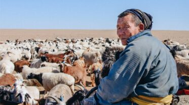 Banner zum Expert*innentalk über eine Reise in die Mongolei mit einem mongolischen Pastoralisten und seiner Herde. _W