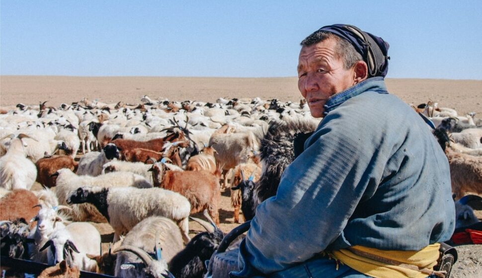 Banner zum Expert*innentalk über eine Reise in die Mongolei mit einem mongolischen Pastoralisten und seiner Herde. _W