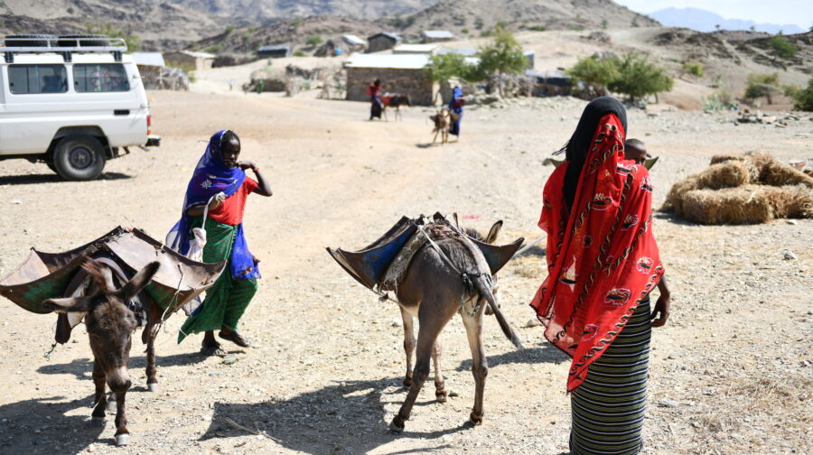 Äthiopische Frauen in traditionellen Gewändern machen sich mit ihren Eseln auf den Weg zu Markt. Esel sind eine wichtige Säule in der Einkommenssicherung äthiopischer Pastoralisten.