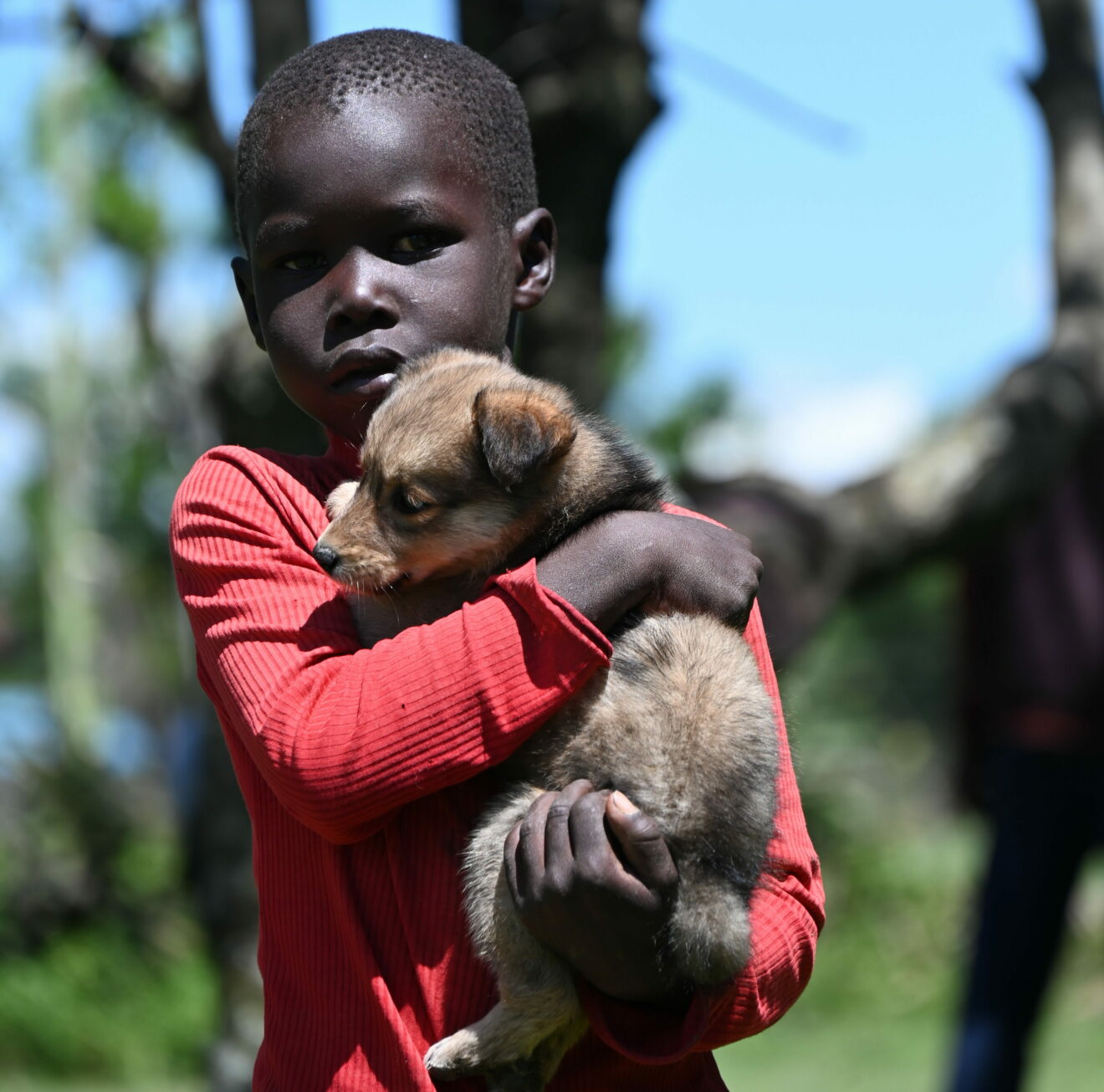 Impfaktion Masai Mara Junge mit kleinem Hund auf dem Arm
