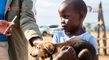 Ein Mädchen in Kenia hält einen jungen Hund im Arm, während eine Veterinärperson im Hintergrund eine Spritze vorbereitet, um den Hund gegen Tollwut zu impfen.