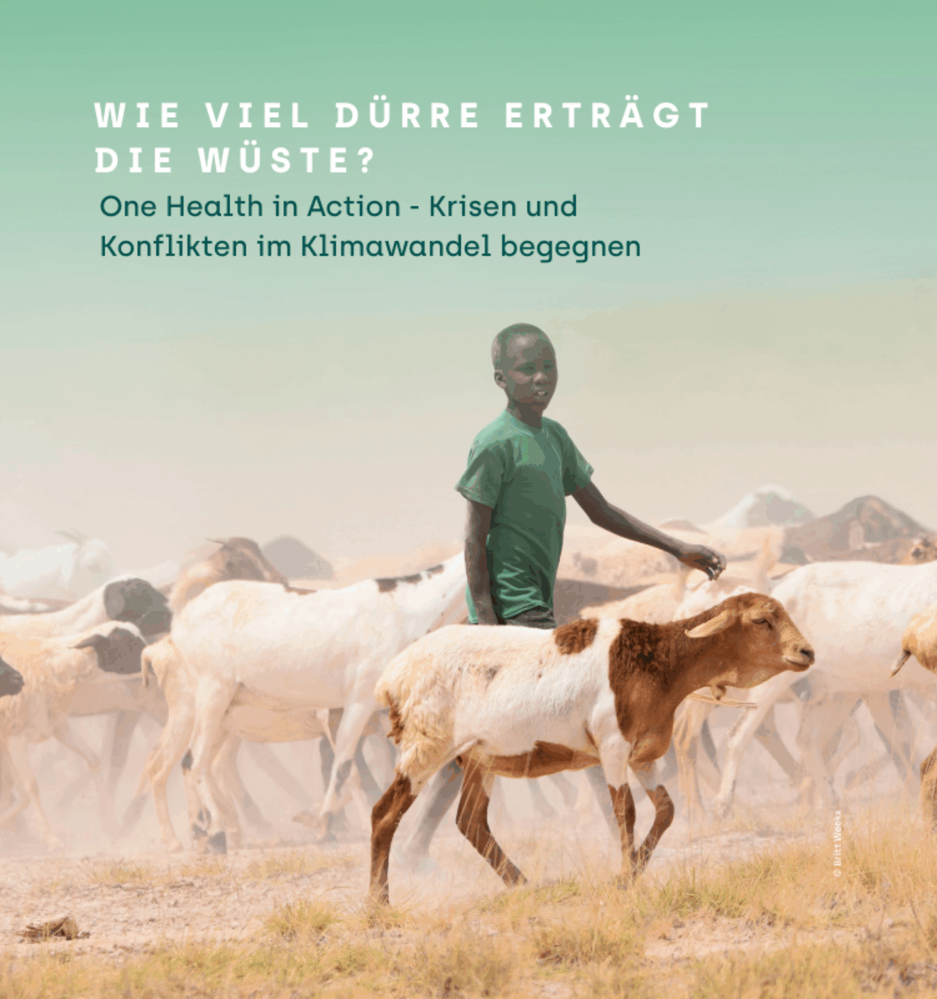 One Health Day 2025 am 4.11. in Berlin und online