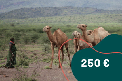 250 EUR Spendenbild - Mit 250 € eine Familie mit einem Kamel austatten