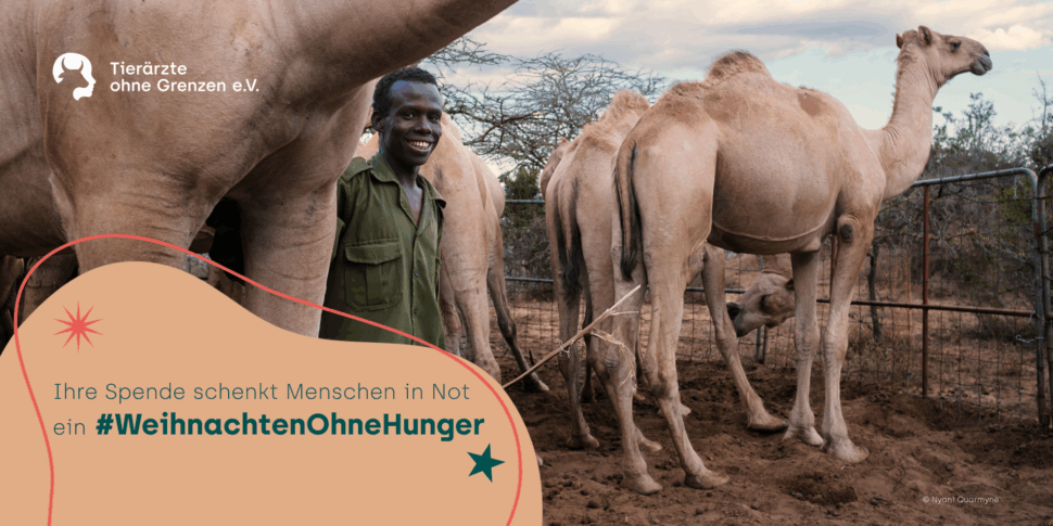 Ein Mann steht neben seinen Kamelen und lächelt in die Kamera.